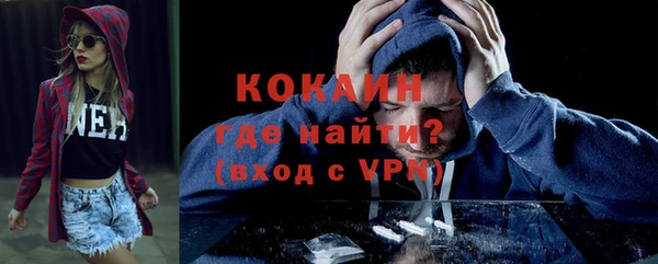 не бодяженный Бородино
