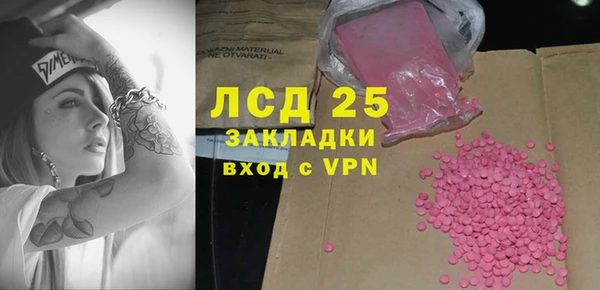 прущие грибы Бронницы