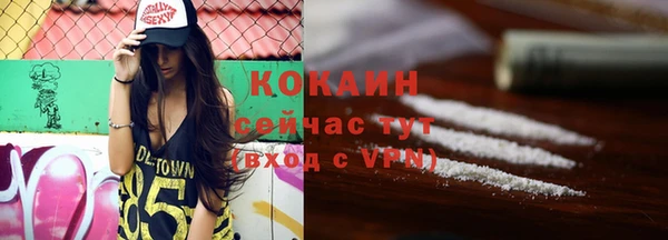 прущие грибы Бронницы