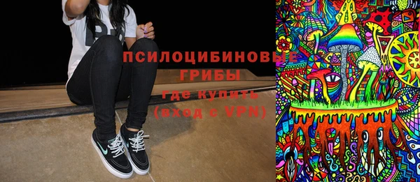 прущие грибы Бронницы
