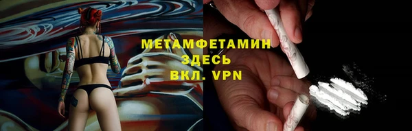 прущие грибы Бронницы