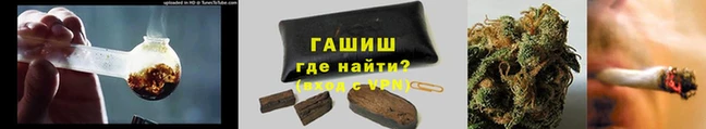 прущие грибы Бронницы