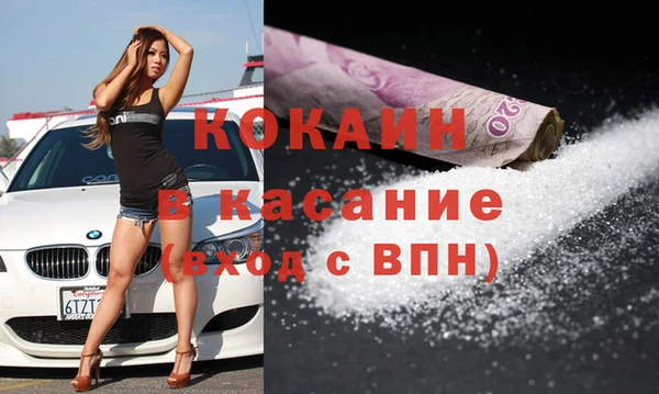 прущие грибы Бронницы