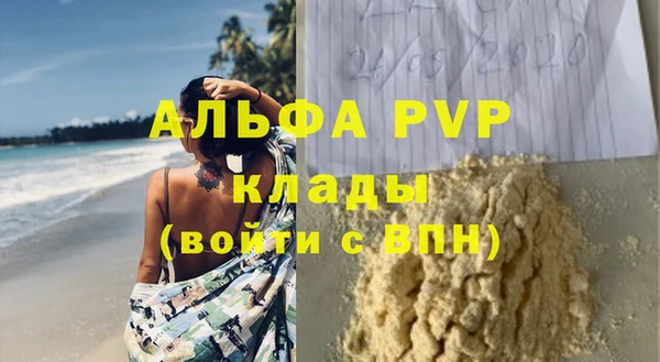 прущие грибы Бронницы