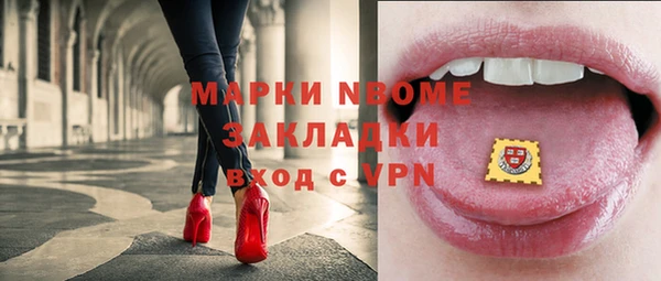 прущие грибы Бронницы