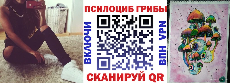 Псилоцибиновые грибы Cubensis  Купить  Нурлат 