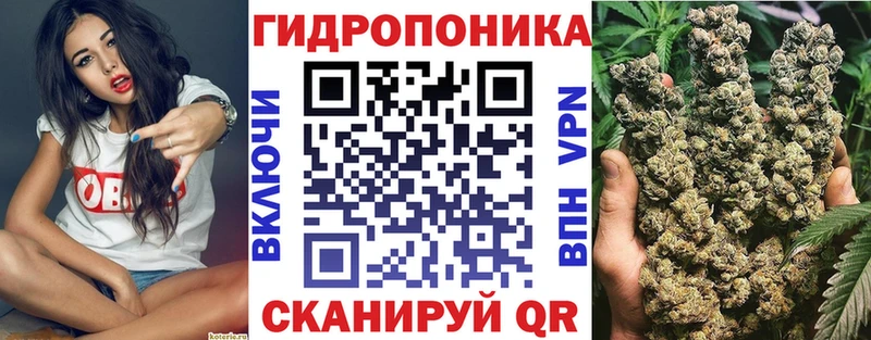 Купить где  Нурлат  Канабис SATIVA & INDICA 